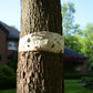 Insect Barrier Tree Tape